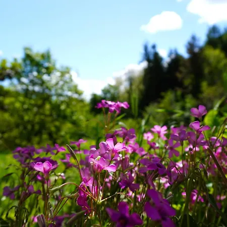 Casa Castagno E Ruscello - Nature Retreat In Liguria *