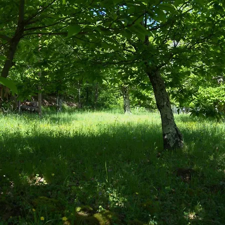 Holiday home Casa Castagno E Ruscello - Nature Retreat In Liguria Ponte di Nava