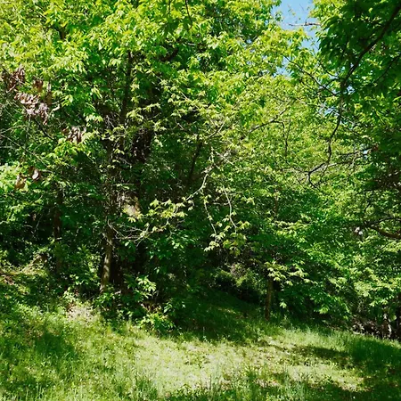 Casa Castagno E Ruscello - Nature Retreat In Liguria