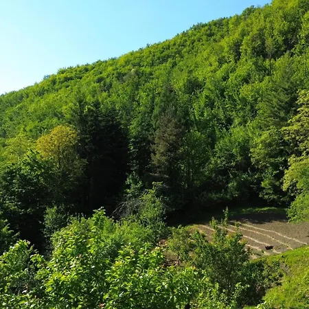 Casa Castagno E Ruscello - Nature Retreat In Liguria Ponte di Nava