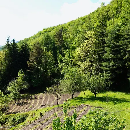 Casa Castagno E Ruscello - Nature Retreat In Liguria Holiday home *