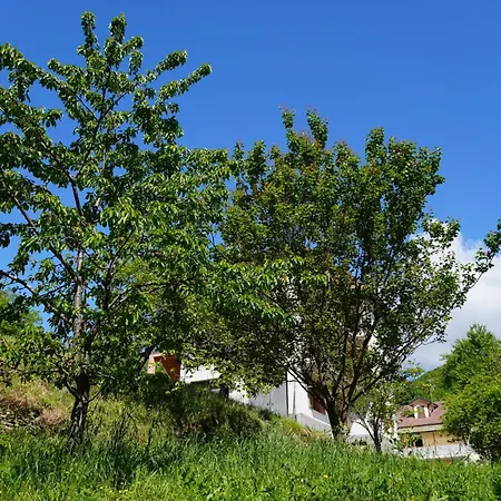Casa Castagno E Ruscello - Nature Retreat In Liguria Holiday home Ponte di Nava