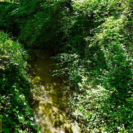 Casa Castagno E Ruscello - Nature Retreat In Liguria Ponte di Nava