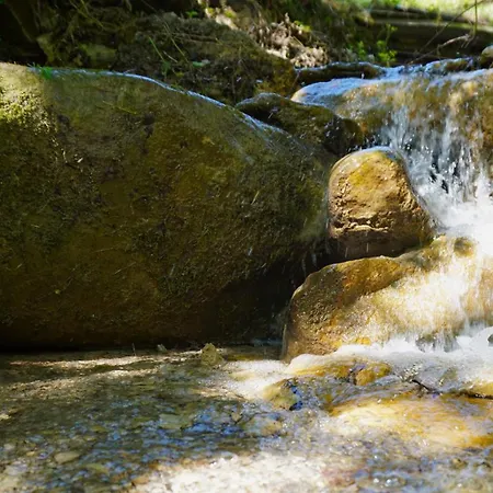 Casa Castagno E Ruscello - Nature Retreat In Liguria * Ponte di Nava