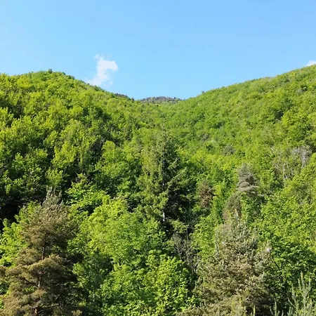 Casa Castagno E Ruscello - Nature Retreat In Liguria Holiday home Ponte di Nava