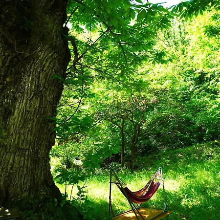 Casa Castagno E Ruscello - Nature Retreat In Liguria * Ponte di Nava